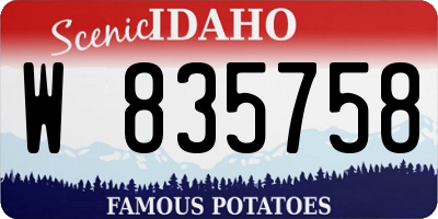 ID license plate W835758
