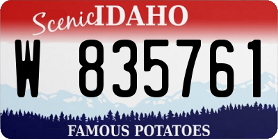 ID license plate W835761