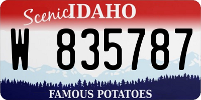 ID license plate W835787