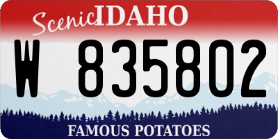 ID license plate W835802