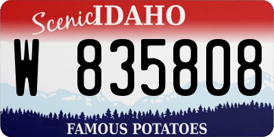 ID license plate W835808