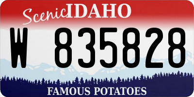 ID license plate W835828