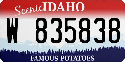 ID license plate W835838