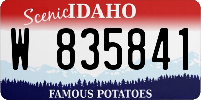 ID license plate W835841