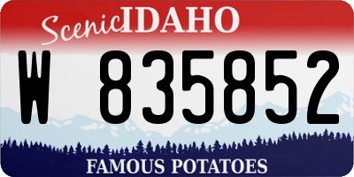 ID license plate W835852