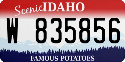 ID license plate W835856