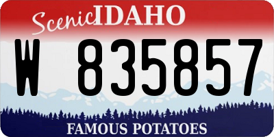 ID license plate W835857