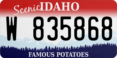 ID license plate W835868
