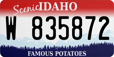 ID license plate W835872