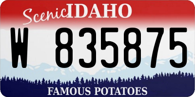 ID license plate W835875
