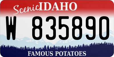 ID license plate W835890