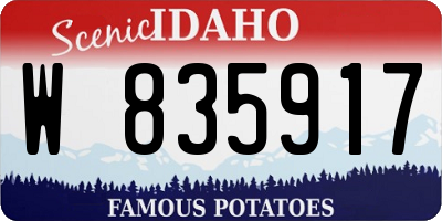ID license plate W835917
