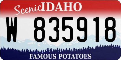 ID license plate W835918