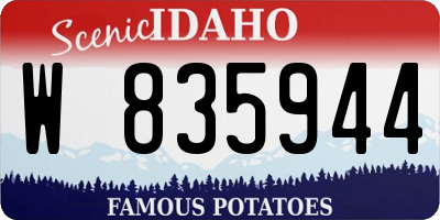 ID license plate W835944