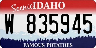 ID license plate W835945