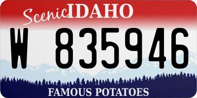 ID license plate W835946