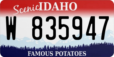 ID license plate W835947