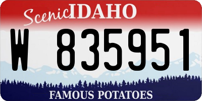 ID license plate W835951