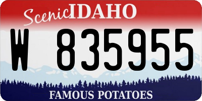 ID license plate W835955