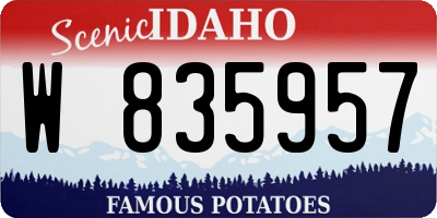 ID license plate W835957
