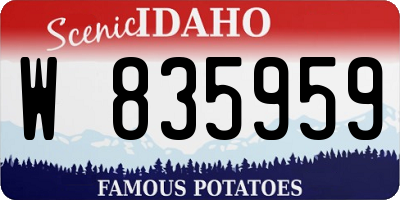 ID license plate W835959