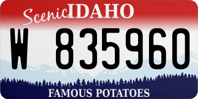 ID license plate W835960