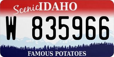 ID license plate W835966