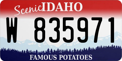 ID license plate W835971