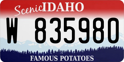 ID license plate W835980