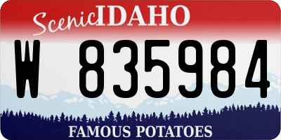 ID license plate W835984
