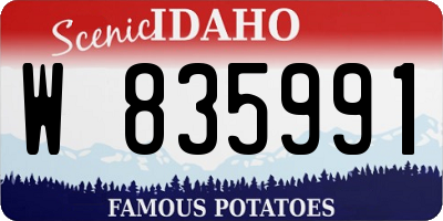 ID license plate W835991