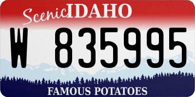 ID license plate W835995