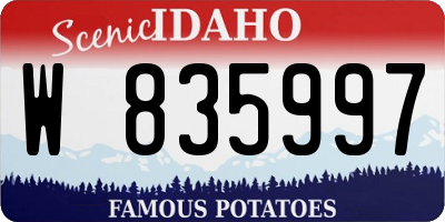 ID license plate W835997