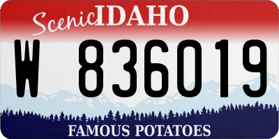 ID license plate W836019