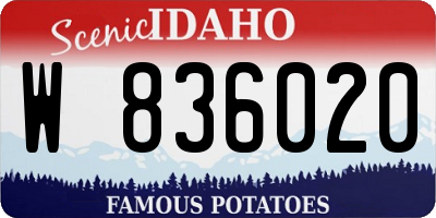 ID license plate W836020