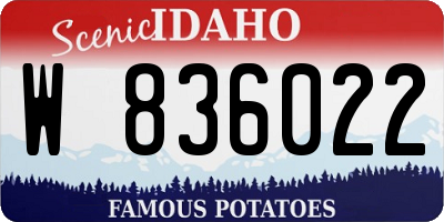 ID license plate W836022