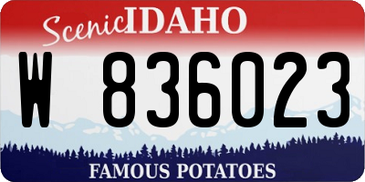 ID license plate W836023