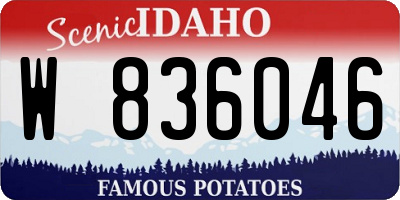ID license plate W836046