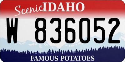 ID license plate W836052