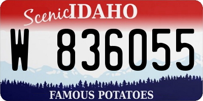 ID license plate W836055