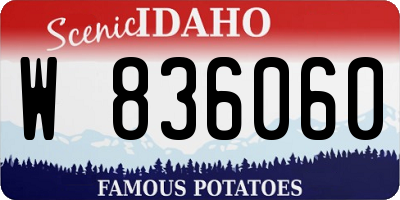 ID license plate W836060