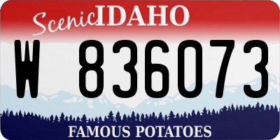 ID license plate W836073