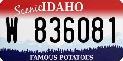 ID license plate W836081