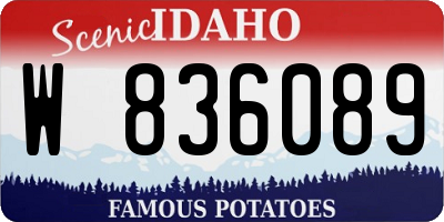 ID license plate W836089