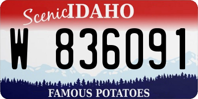 ID license plate W836091