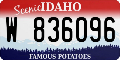 ID license plate W836096