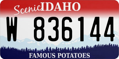 ID license plate W836144