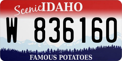 ID license plate W836160