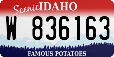ID license plate W836163