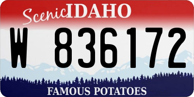 ID license plate W836172